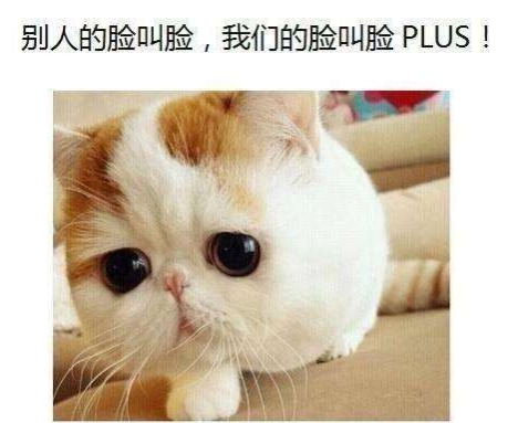 圣嘉新张笑天-下颌角是什么