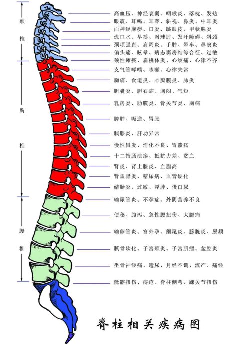 已经患有颈椎病的人除了注意上述两点外,还应注意 1,向后仰时,可以