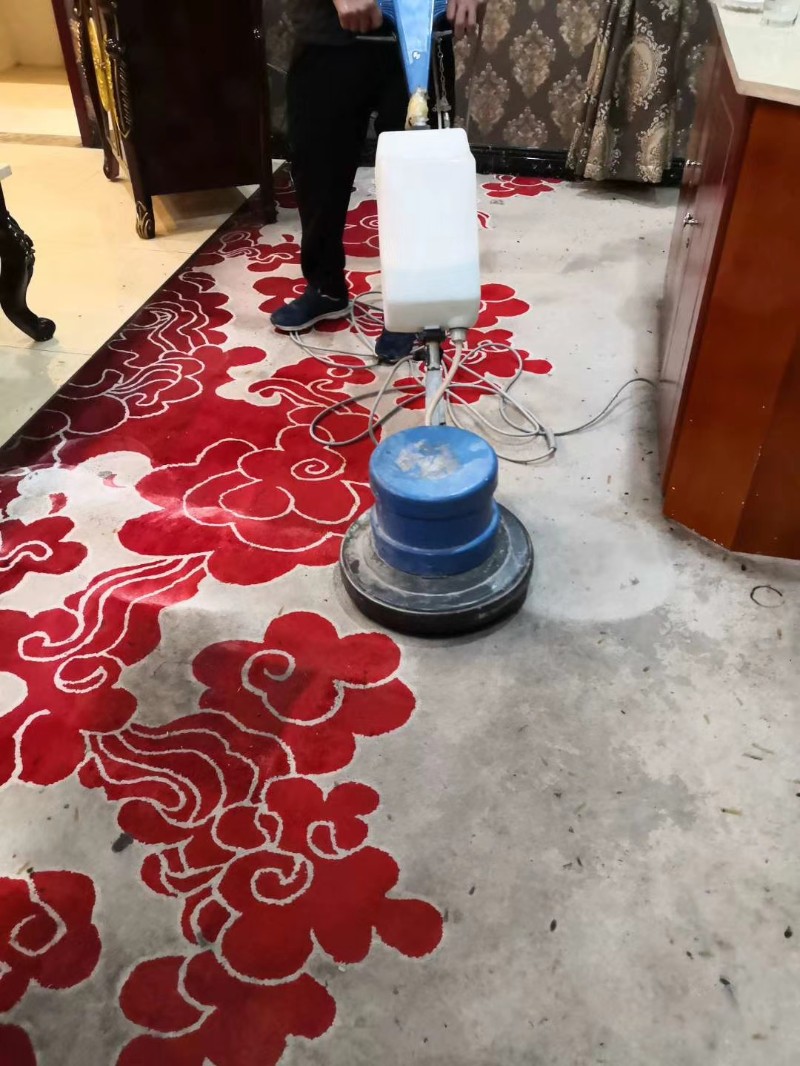 酒店用220v电加热地毯清洗机多功能高温高压热水蒸汽地毯清洗机