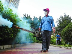 哈尔滨专业灭鼠公司