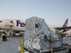 乌鲁木齐FedEx国际快递