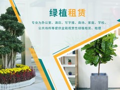 合肥鲜花预定