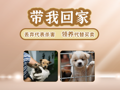 海口宠物狗托运公司