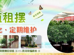 大连鲜花预定