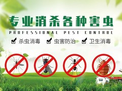 昆明灭白蚁公司