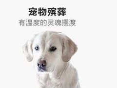 上海动物无害化处理