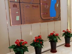 烟台绿植养护公司