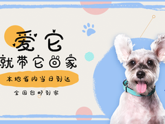 丫丫宠物