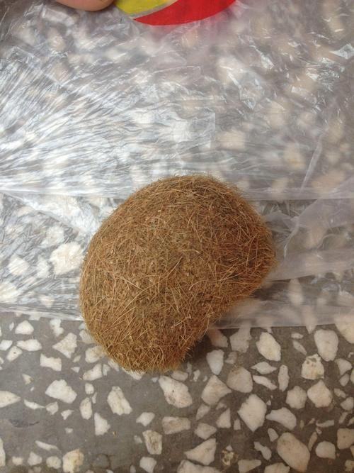 深圳猪宝交易市场