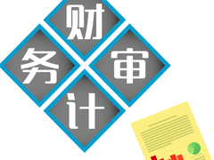 绍兴财务审计公司