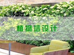 惠州绿植店