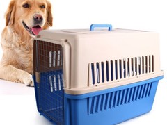 昆明国内宠物托运