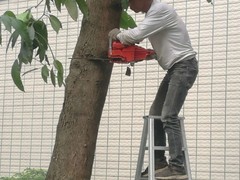 遵义绿化公司