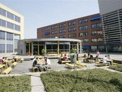 邯郸荷兰留学