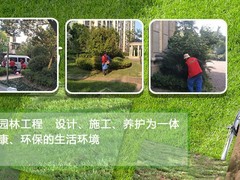 廊坊鲜花预订