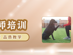 许昌训犬学校
