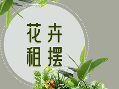 重庆植物租赁