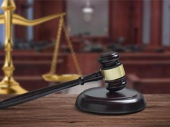 湖州公司犯罪法律咨询