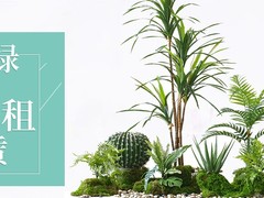 临沂鲜花市场