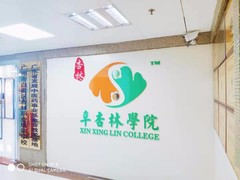 辛杏林学院