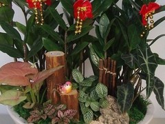 宿迁鲜花价格