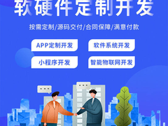 邢台系统软件开发