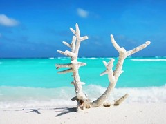 重庆周边旅游