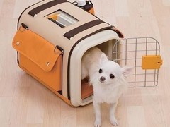 福州宠物托运公司电话