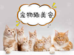 北京林恩卡卡宠物用品商店