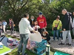 上海虹口区宠物小动物流浪猫狗救助领养收容收养中心基地站