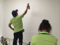 绍兴上门除甲醛