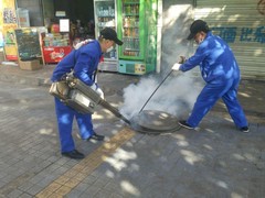 宁波灭鼠公司