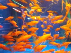 昆明九度水族馆