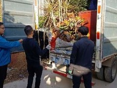 哈尔滨货车搬家电话