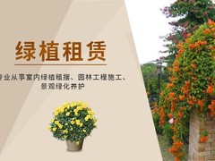三亚结婚鲜花