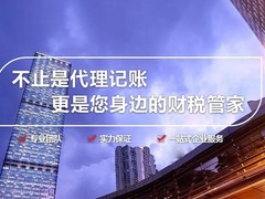 宜昌投标审计报告