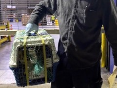 宿迁宠物猫托运