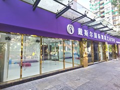 戴斯尔国际舞蹈艺术学校