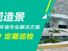 保定绿植订购