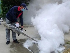 南京专业白蚁防治机构
