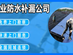 本地雨彤防水补漏公司