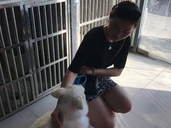 苏州市宠物救助领养站