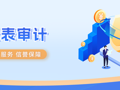 南宁审计公司