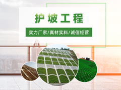 天津护坡工程