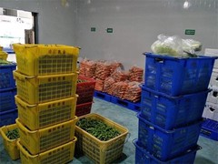 长春蔬菜配送电话