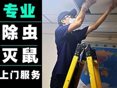 绵阳灭白蚁公司