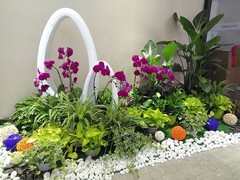 绍兴绿植价格