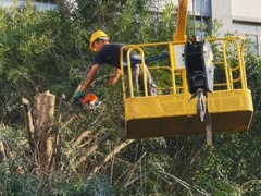芜湖小区绿化