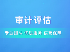 嘉兴年检审计机构