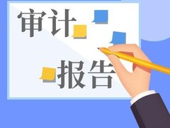 乌鲁木齐审计报告公司